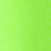 Carhartt WIP WomenŐs Lumo T-Shirt in Lumo Green